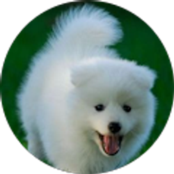 Profile photo of Samantha Trammell