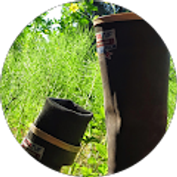 Profile photo of Zoe George