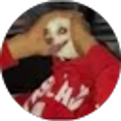 Profile photo of Rocky Clapp (Señor Freaknasty)