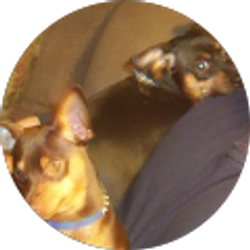 Profile photo of Sandi Hansen