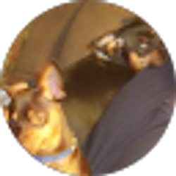 Profile photo of Sandi Hansen