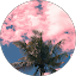 Profile photo of Shiran R