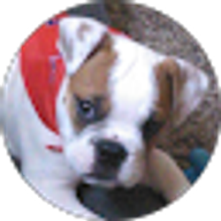 Profile photo of Carolyn Lee