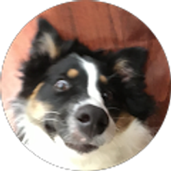 Profile photo of April Schack