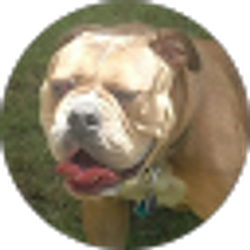 Profile photo of Audrey Haning