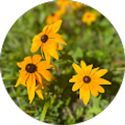 Profile photo of Lee Hogan