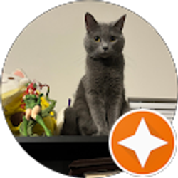 Profile photo of Harley Lestat