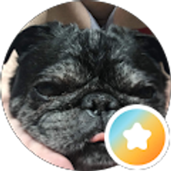 Profile photo of Billy