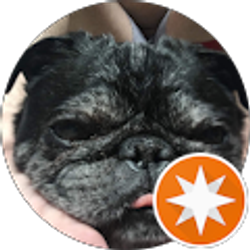 Profile photo of Billy