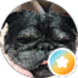 Profile photo of Billy