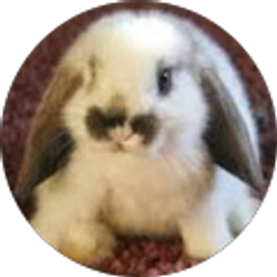 Profile photo of Carissa Meyers