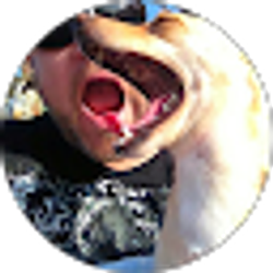 Profile photo of Kevin Cassidy