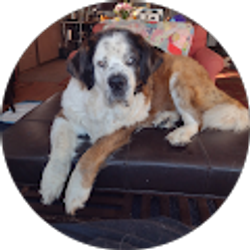 Profile photo of Summer Hoffman