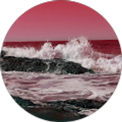 Profile photo of Josh Burnett