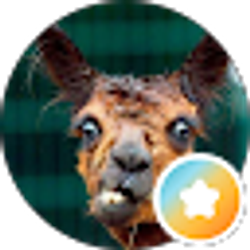 Profile photo of Ryan B