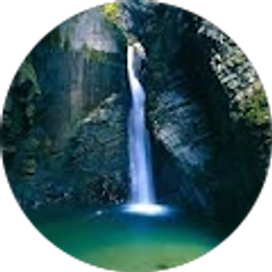 Profile photo of Nick Miller