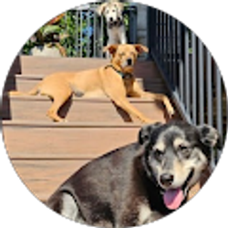 Profile photo of Riley Koepke