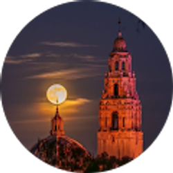 Profile photo of Phoenix Rising Within