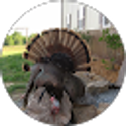 Profile photo of Dale Willingham