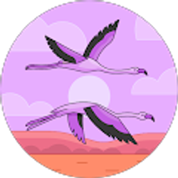 Profile photo of Sally Cantwell