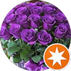 Profile photo of Heather T