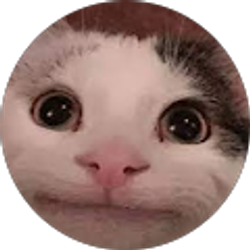 Profile photo of Lillian Almonte