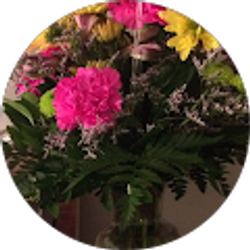 Profile photo of Rose Graham