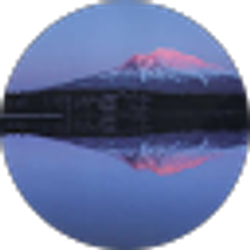Profile photo of Robin Stone