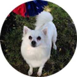 Profile photo of D Torok