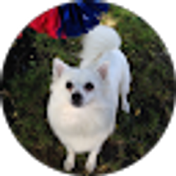 Profile photo of D Torok