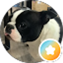 Profile photo of greenfrogger