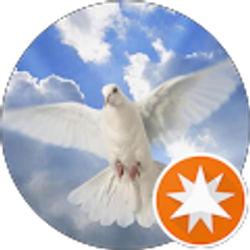 Profile photo of Angie Person