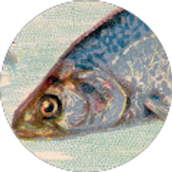 Profile photo of Stephanie Baertson