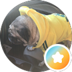 Profile photo of Ronnie LuLu