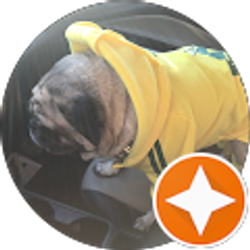 Profile photo of Ronnie LuLu