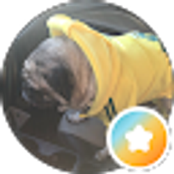 Profile photo of Ronnie LuLu