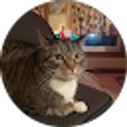 Profile photo of Rondel Bezner