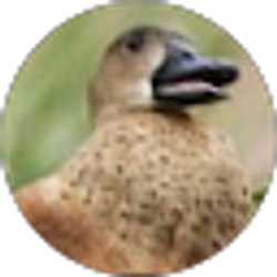 Profile photo of Alex Alegria