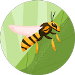 Profile photo of Malcolm Jackson