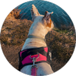 Profile photo of Becca Joy