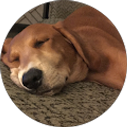 Profile photo of Awc1981