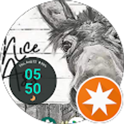 Profile photo of Carolyn Kuhn