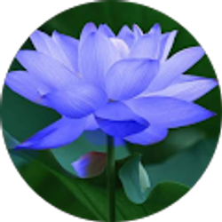 Profile photo of Shantel Tuggle