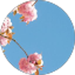 Profile photo of Kimberly Saenz