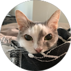 Profile photo of Stephanie Birch (Steff)