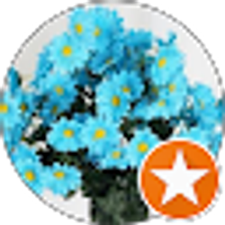 Profile photo of EyeoftheDay