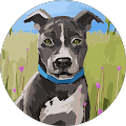 Profile photo of Max Duan