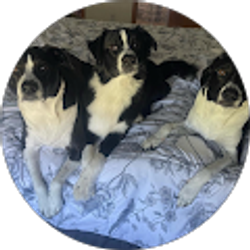 Profile photo of Antonella DeGiorgio