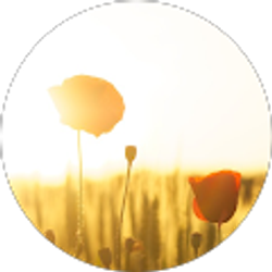 Profile photo of Edna Castillo