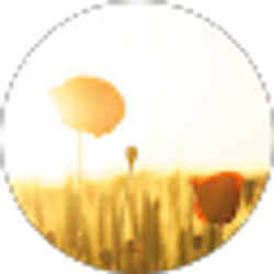 Profile photo of Edna Castillo